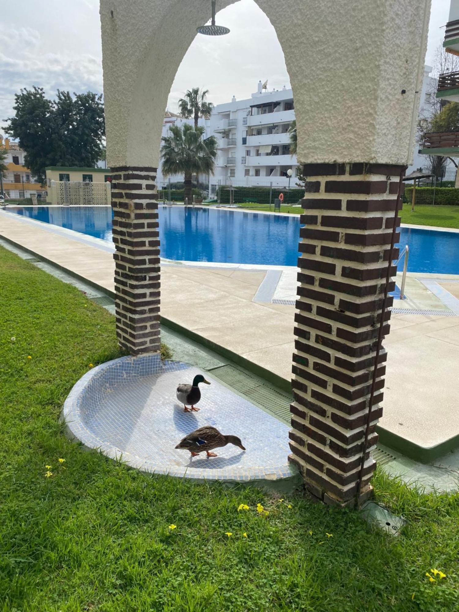 Apartamentos Naciones Playa, Los Molinillos Benalmádena Kültér fotó